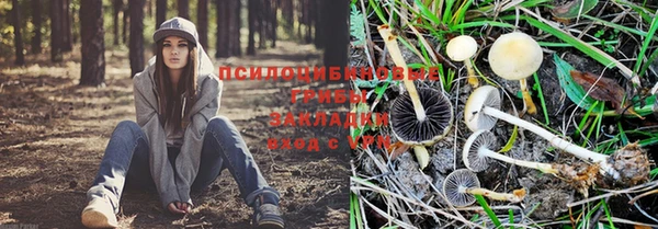 кокаин колумбия Краснослободск