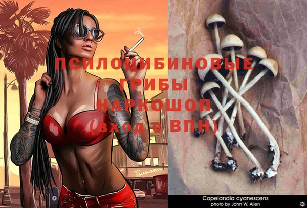 ПСИЛОЦИБИНОВЫЕ ГРИБЫ Красноперекопск